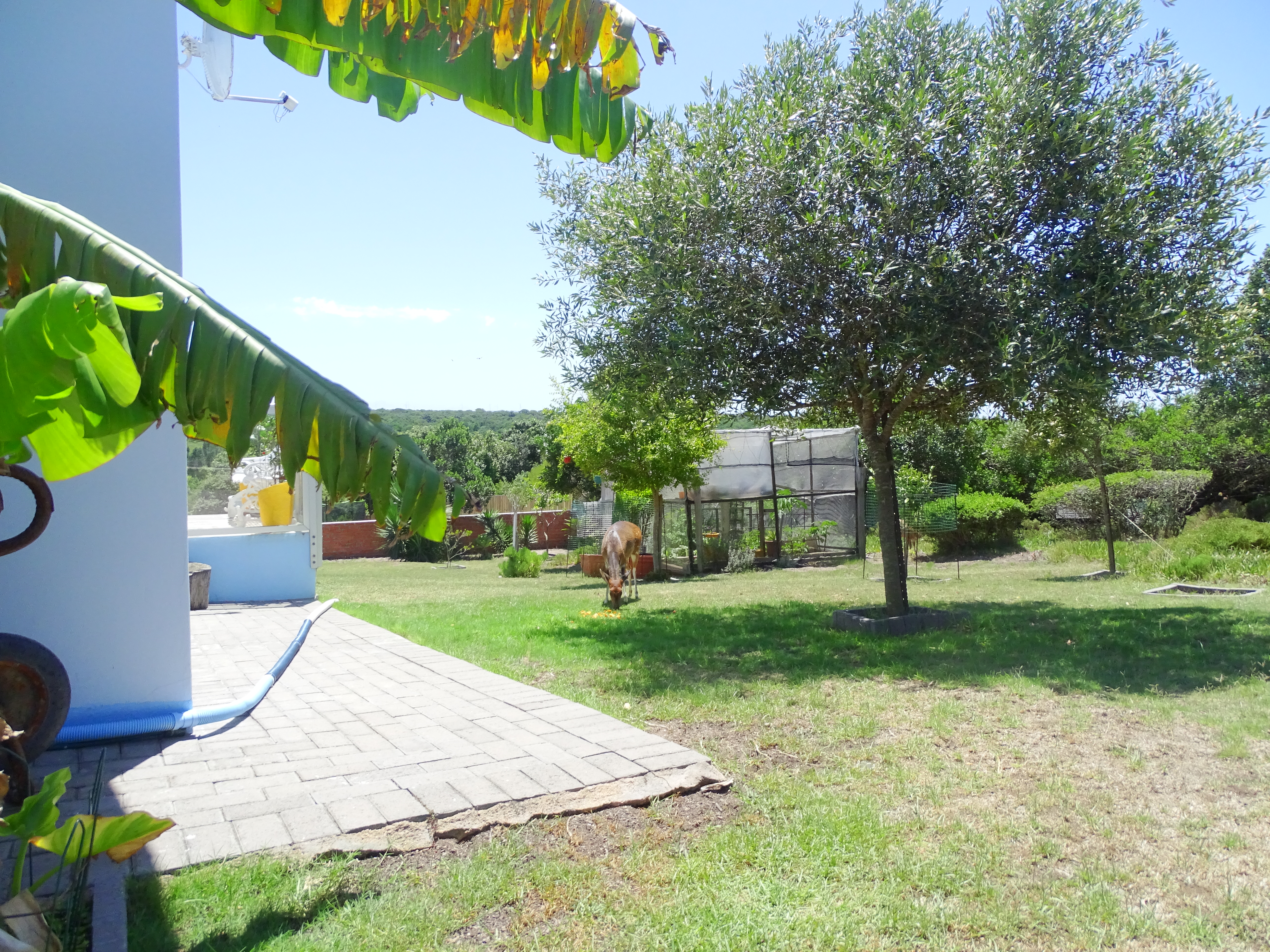 3 Bedroom Property for Sale in Paradise Beach Eastern Cape